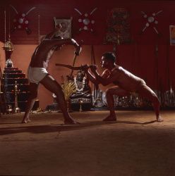 Самое древнее боевое искусство представят в России в рамках Фестиваля индийской культуры