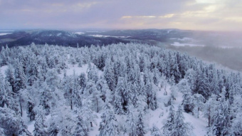 Международный фестиваль арктического кино «Золотой ворон» стартует на Чукотке