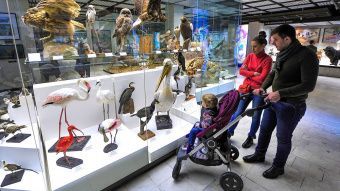 В новогодние каникулы музеи Москвы будут работать бесплатно