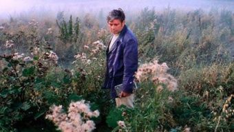 «Солярис» покажут на Каннском фестивале